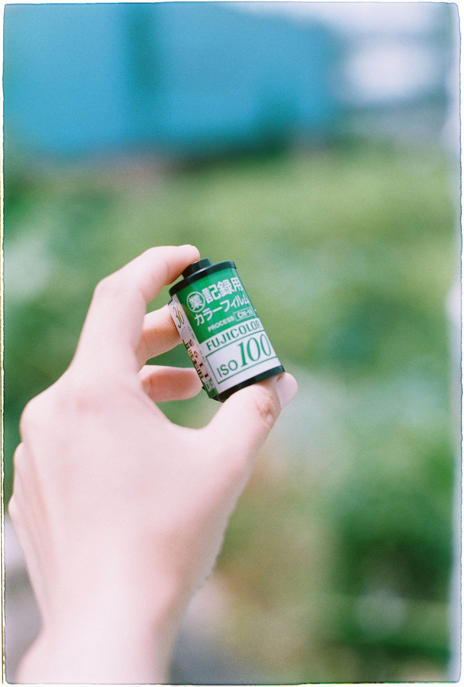 フィルム